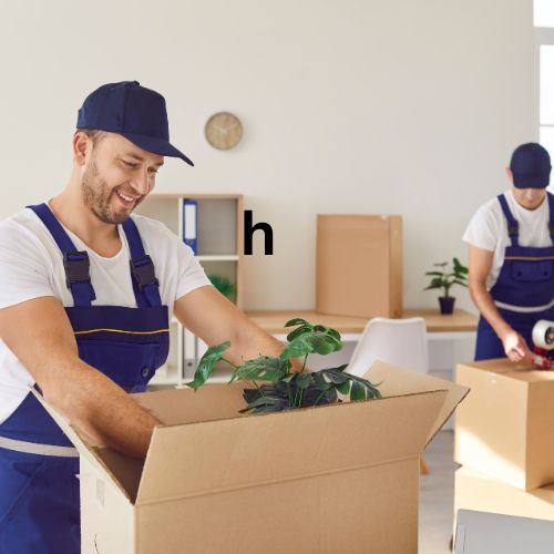 Local Moving Services in UAE